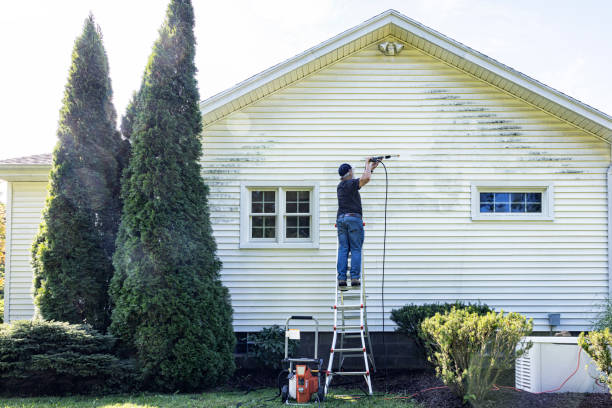 Best Brick and Stone Cleaning in Kewaunee, WI